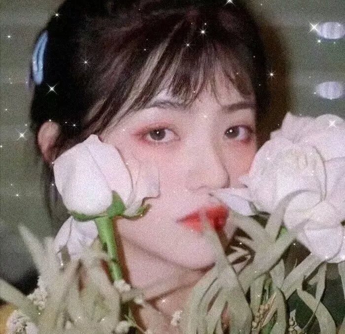火药之心